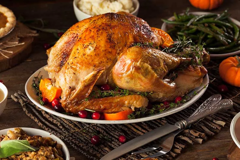 Cover for Good Dental Care Can Be Part of a Happy Thanksgiving