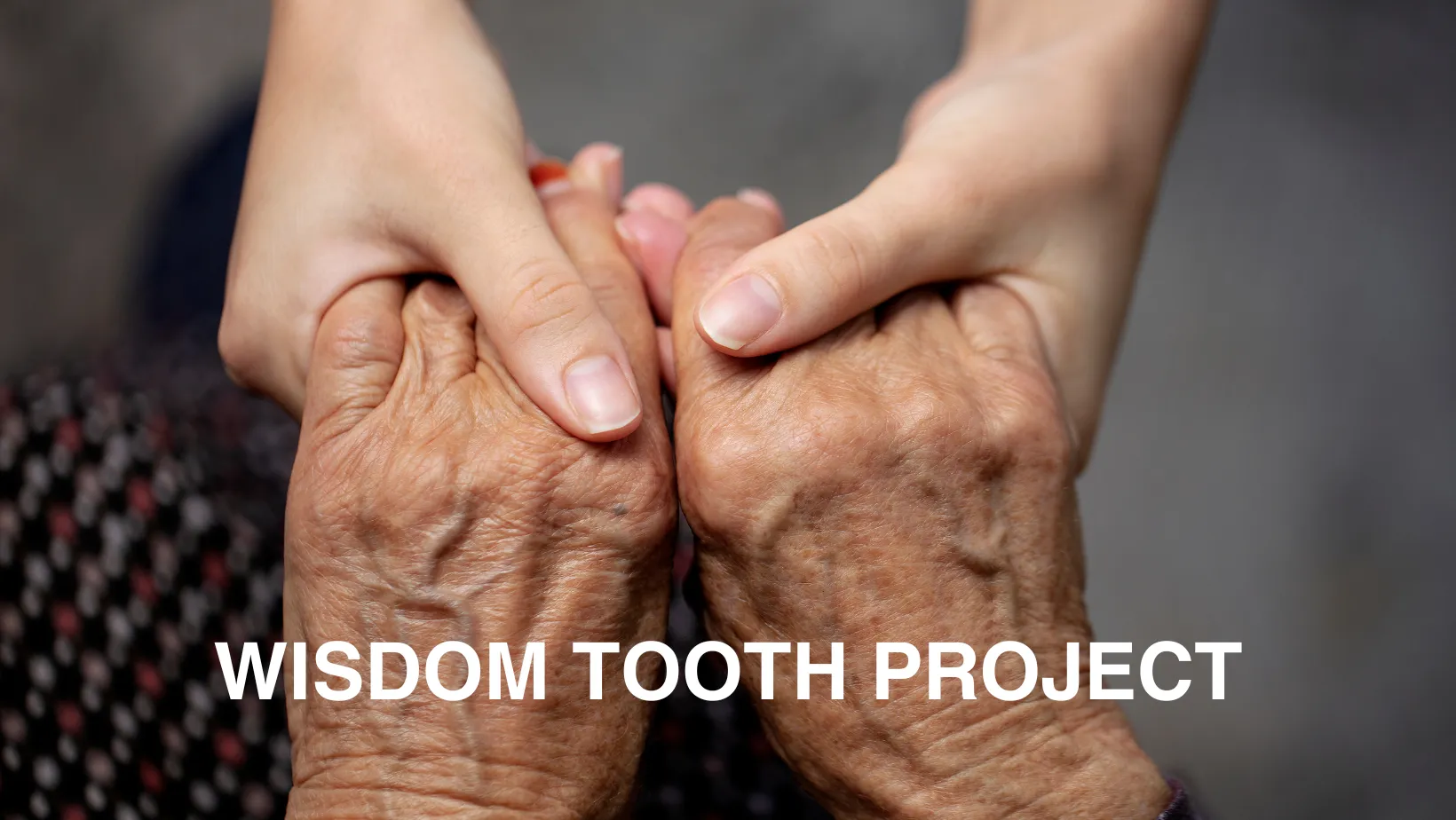 Cover for The Wisdom Tooth Project