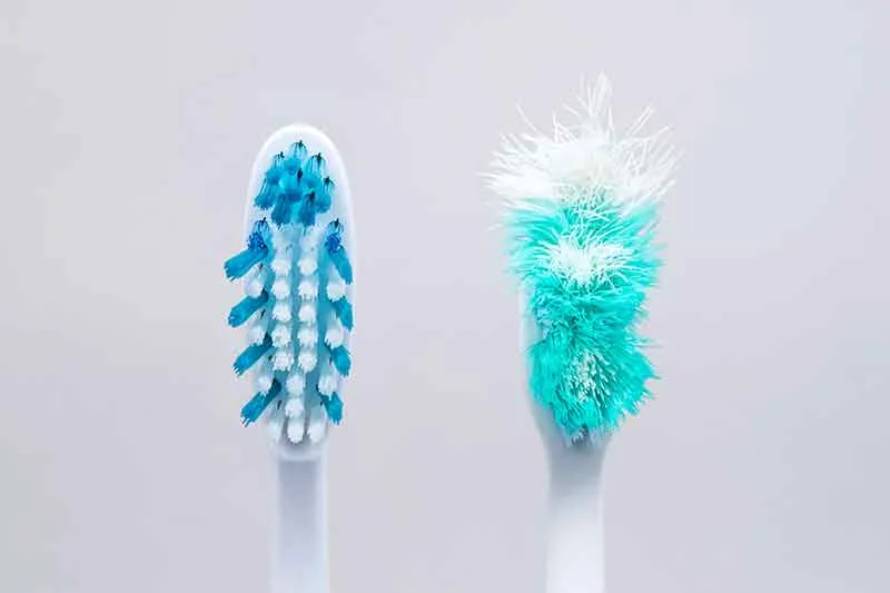 Cover for Why should you change your toothbrush?
