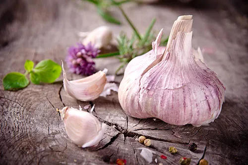 Cover for How garlic can help you have healthy teeth and gums