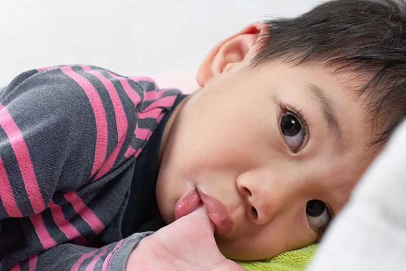 Cover for Thumb Sucking: What Every Parent Should Know