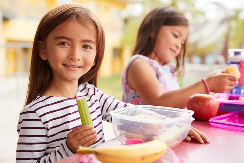 Cover for Dental Friendly Lunches for Your Children