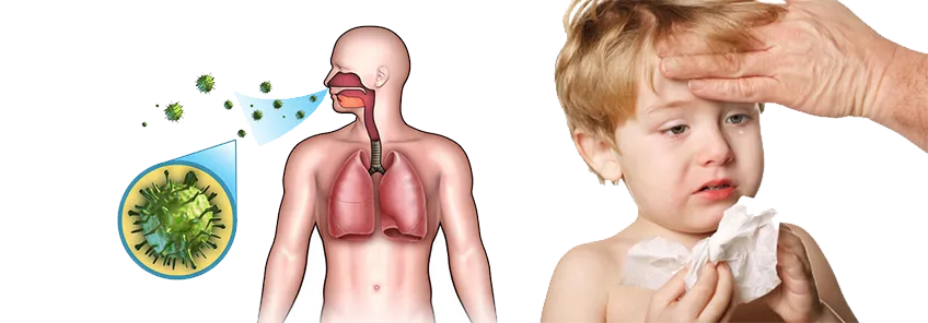 Cover for Respiratory Infections, Pneumonia, and Dental Health