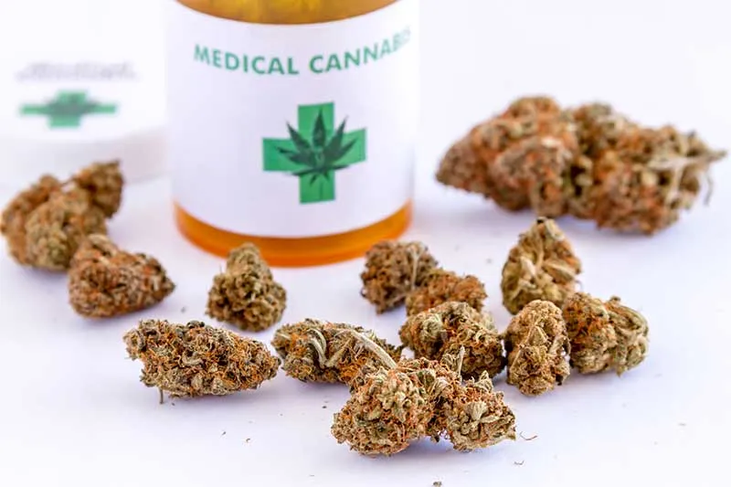 Cover for Effects of Legalized Marijuana on Dental Health