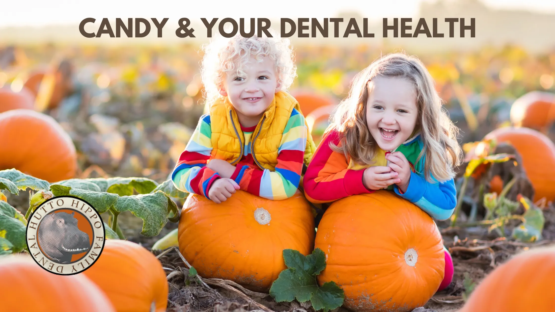 Cover for Does Pumpkin Help You Have Healthy Teeth?